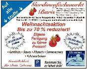 Sabri Baris - GALLERY