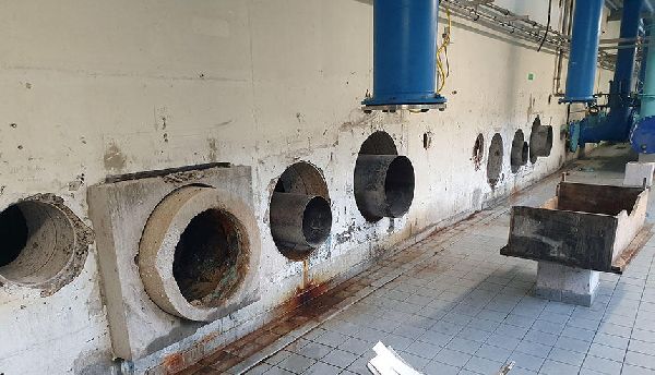 SACHSEN-SÄGE GmbH - GALLERY