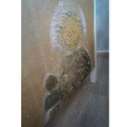 Sachverständigenbüro Köster - GALLERY