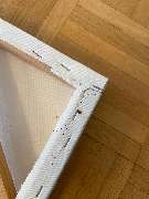 SafeHome Schädlingsbekämpfung Köln - GALLERY