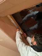 SafeHome Schädlingsbekämpfung Köln - GALLERY