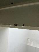 SafeHome Schädlingsbekämpfung Köln - GALLERY