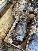 SafeHome Schädlingsbekämpfung Köln - GALLERY