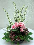 Sailer´s Geschenkideen OHG - 104