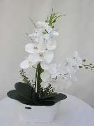 Sailer´s Geschenkideen OHG - 39