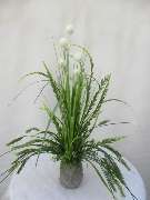 Sailer´s Geschenkideen OHG - 42