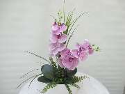 Sailer´s Geschenkideen OHG - 46