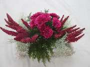 Sailer´s Geschenkideen OHG - 50