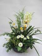 Sailer´s Geschenkideen OHG - 64