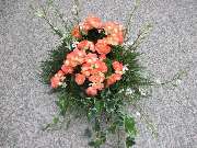 Sailer´s Geschenkideen OHG - 67