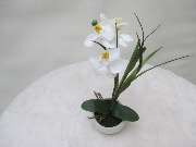 Sailer´s Geschenkideen OHG - 7