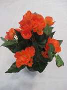 Sailer´s Geschenkideen OHG - 70