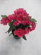 Sailer´s Geschenkideen OHG - 71