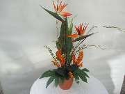 Sailer´s Geschenkideen OHG - 72