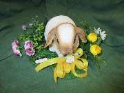 Sailer´s Geschenkideen OHG - 73