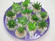 Sailer´s Geschenkideen OHG - 76