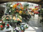 Sailer´s Geschenkideen OHG - 8