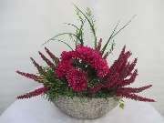 Sailer´s Geschenkideen OHG - 85