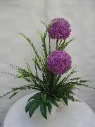 Sailer´s Geschenkideen OHG - 86