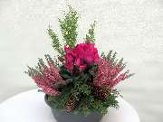 Sailer´s Geschenkideen OHG - 87