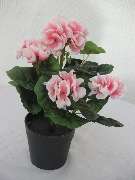 Sailer´s Geschenkideen OHG - 94