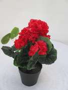 Sailer´s Geschenkideen OHG - 95