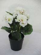 Sailer´s Geschenkideen OHG - 96