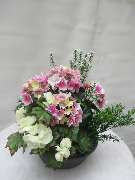 Sailer´s Geschenkideen OHG - künstliche Pflanzschale 42,50 € mit rosa Hortensie, cremefarbener Begonie und Grünbeiwerk in Kunststoffschale .
Ideal für Balkon oder Friedhof