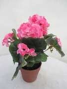 Sailer´s Geschenkideen OHG - künstliche pink Geranie