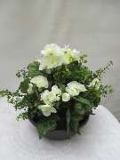 Sailer´s Geschenkideen OHG - künstliche Schale mit weißer Begonie