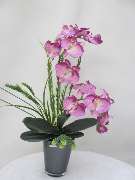 Sailer´s Geschenkideen OHG - künstliches Orchideengesteck in Glasgefäß mit verschiedenem Grün