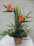 Sailer´s Geschenkideen OHG - künstliches Streliziengesteck 48,50 € 
in Keramikgefäß mit verschiedenem Grünbeiwerk
Höhe ca. 73 cm, Breite ca. 40 cm
