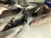 Sakis Fisch & Feinkost - Sakis Fisch und Feinkost