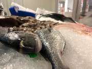 Sakis Fisch & Feinkost - Sakis Fisch und Feinkost