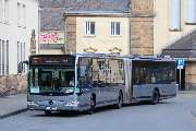 Salmi TOURS Essen - GALLERY