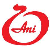 Salon Ani - LOGO