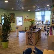 Salon Haareszeiten Inh. Marion Bettker - GALLERY