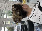 Salon Sinem - GALLERY