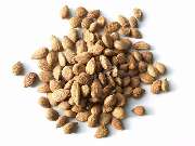 Salvestrol-Dreden - 3