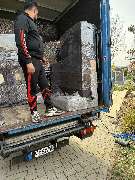 Sam24 GmbH | Willi Transport | Umzugsservice, Transport & Mehr - GALLERY