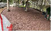 Sames Gartenservice Inh. Michael Hüttry - GALLERY