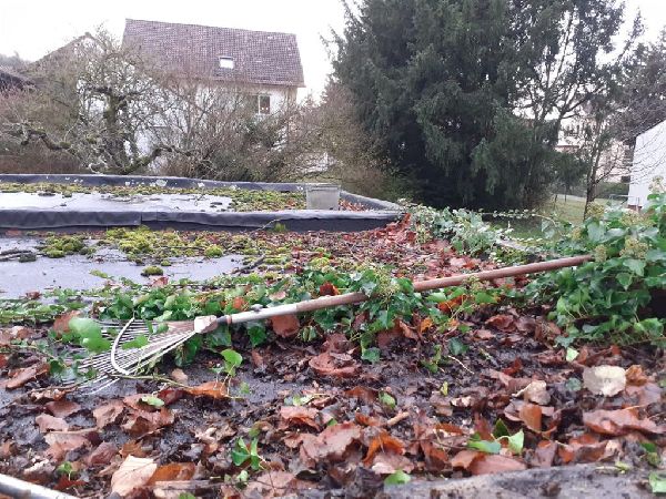 Sanders Dienstleistungen - IMG-20240919-WA0002.jpg