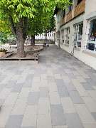 Sanders Dienstleistungen - IMG-20240919-WA0004.jpg