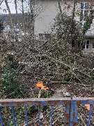 Sanders Dienstleistungen - IMG-20240919-WA0020.jpg