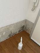 Sanierungs Fuchs - 2025-02-18-14-56-56-grg-image_picker_7F584201-5308-4BAF-A90F-246E6534D75B-324-000000221A196C87.jpg