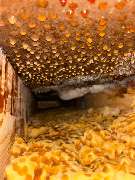 Sanierungs Fuchs - WhatsApp Image 2024-11-26 at 14.15.32 (2).jpeg