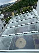 Sauber Max - 2aad114a-d054-4dfa-b0b8-eac2dc2cc8c5.jpeg