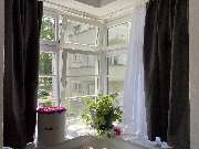 Sauber Max - IMG_3880.jpeg