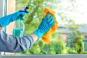 Sauber Pro Max - GALLERY