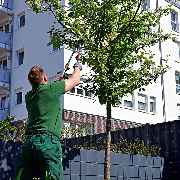 Saubermänner Hannover GmbH - GALLERY